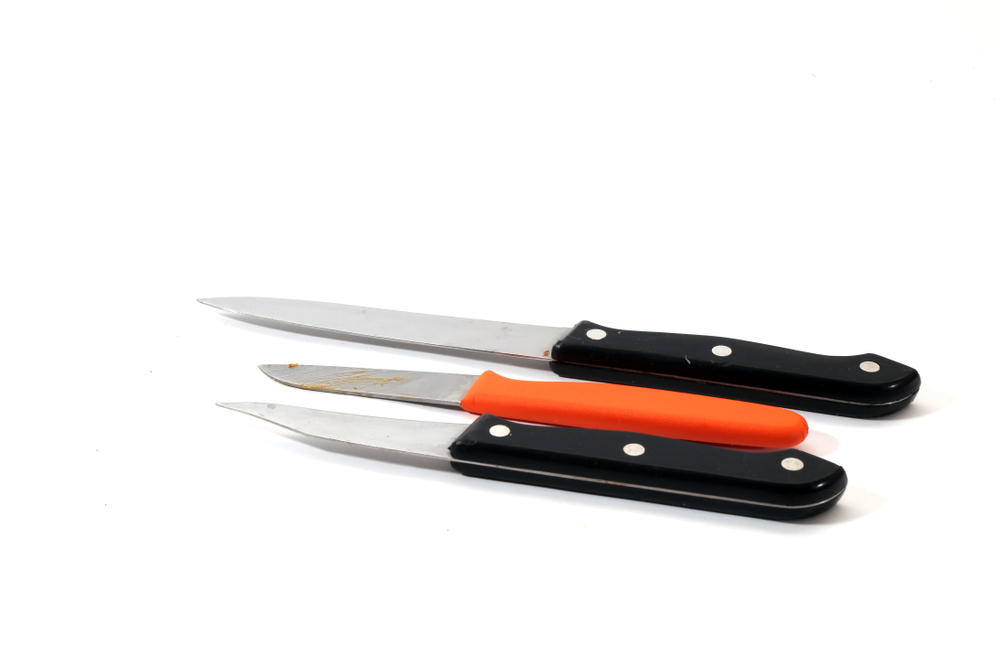 The NSW Offence of Carrying a Knife or Blade in a Public Place or School