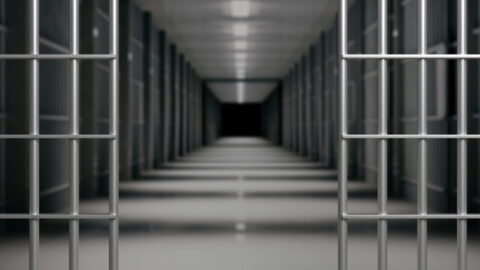 Prison bars