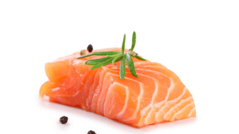 Salmon