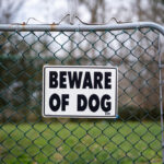 The Laws, Defences and Penalties for Dog Attack Offences in New South Wales