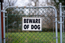 Beware of dog