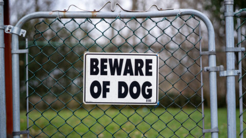 Beware of dog