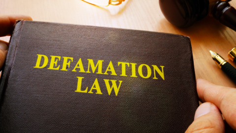 Defamation law