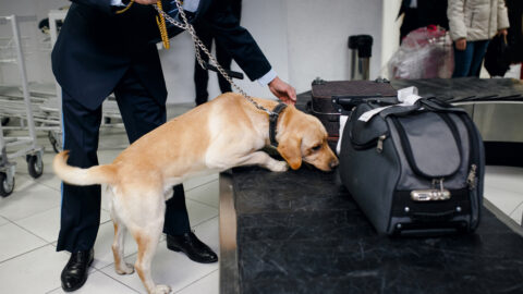 Drugs at airport