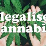 Legalise Cannabis WA Takes Two Upper House Seats: An Interview With MLC Sophia Moermond