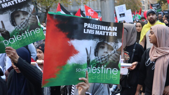 Palestinian lives