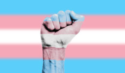 Trans flag