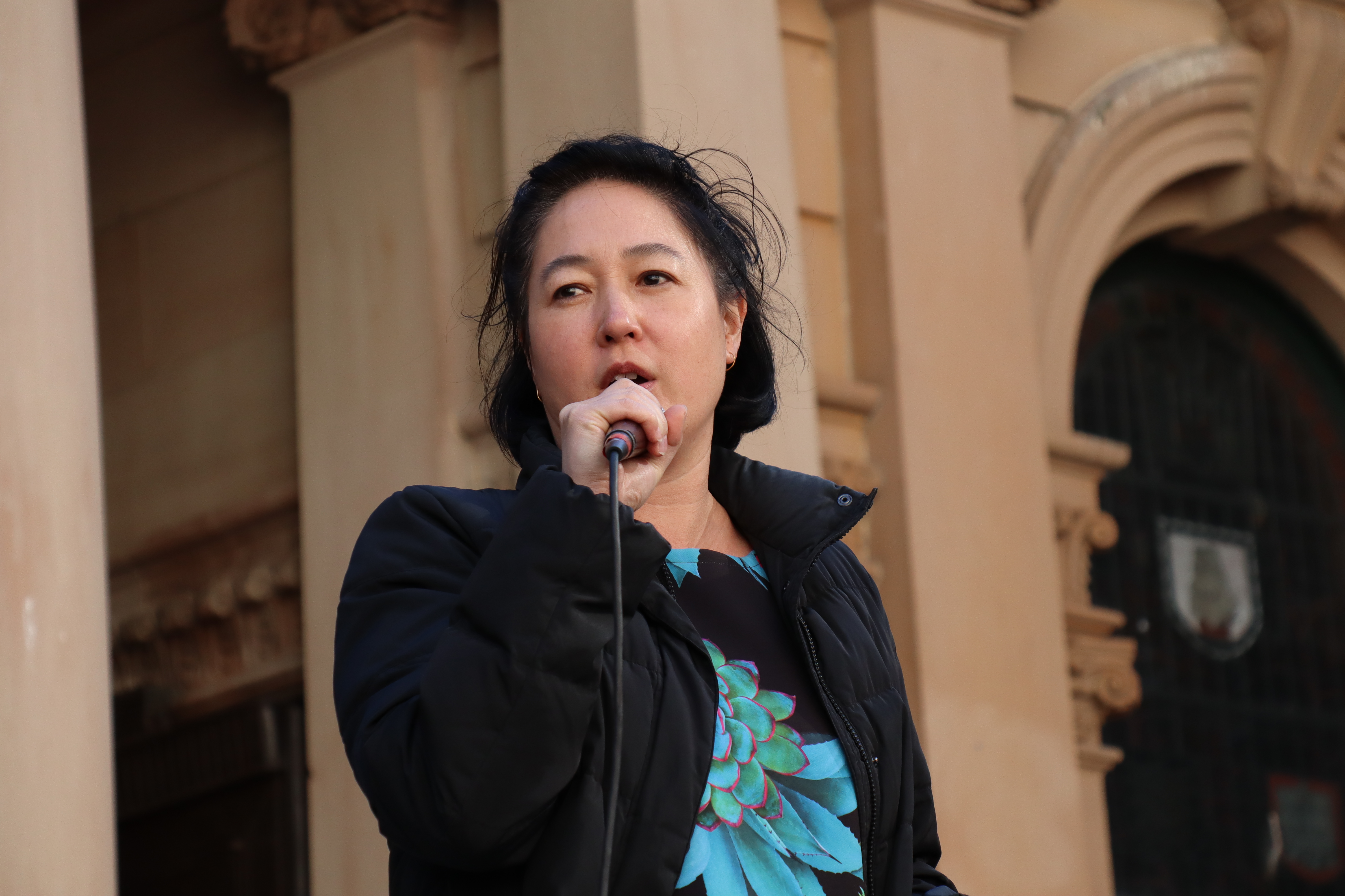 NSW Greens MP Jenny Leong is “sickened by their levels of hate”