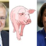 “A Sense of Entitlement”: Shoebridge on Pork Barrelling and Lack of Federal Oversight