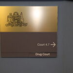 What is the Drug Court Program in New South Wales?
