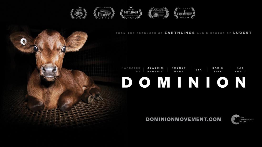 Movie poster for 2018’s Dominion