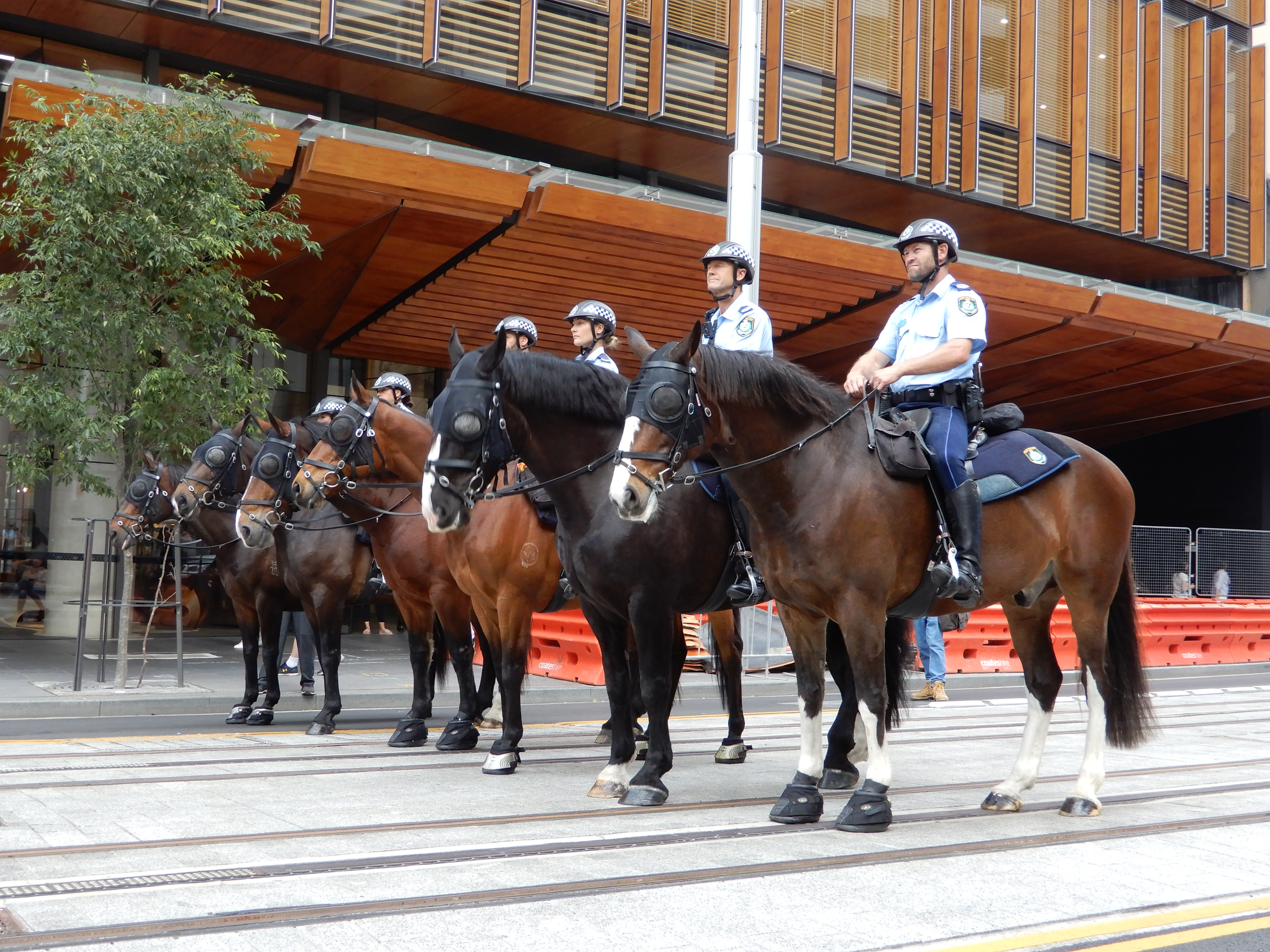 NSW mounted police have been deployed to Fairfield to police the virus