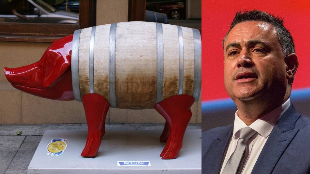 Pork Barrel Legislation Effects at Christopher Goodridge blog