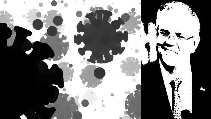 Deepening Lockdown Divisions, Pending COVID Deaths and the Pandemic Election