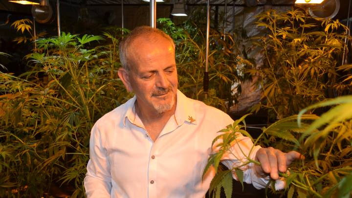 Australian Hemp Industry Pioneer Andrew Kavasilas