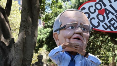 Scott Morrison doll