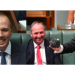Federal Politicians: Bogans, Boofheads, Bullies and Beers