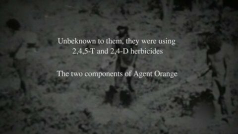 Agent Orange