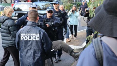 A protester is made airborne as they’re picked from the path