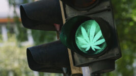 Cannabis driving