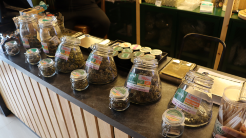 A wide range of different cannabis strains are on offer