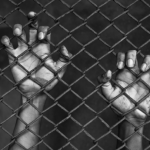 Australia Has a Nasty Habit of Incarcerating Children It Doesn’t Want to Kick