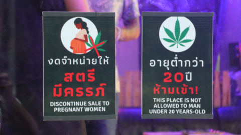 Cannabis regulations displayed on a shopfront