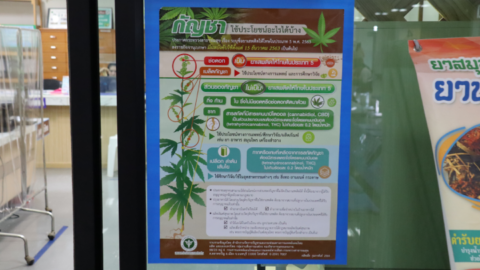Public Health Ministry medicinal cannabis chart