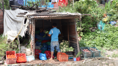 Makeshift green grocers