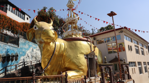 A huge statue of Nandi the bull, Shiva’s vehicle. Vishnu and Shiva are the two main figures of worship in Hinduism, although there’s a third prominent god: Brahma, the creator