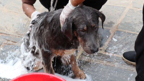 Norbu starts to get comfortable with the care his life is usually void of on the streets