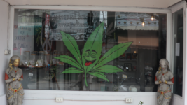 Thailand Cannabis