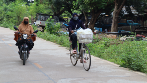 Two-wheeled petrol or foot powered