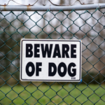 Dog Attack Offences in Queensland and New South Wales