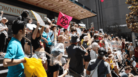 The protesters out the front of Downing Centre Court yesterday afternoon