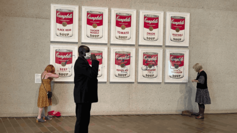 SFFS activists glue themselves to Warhol prints at the National Gallery