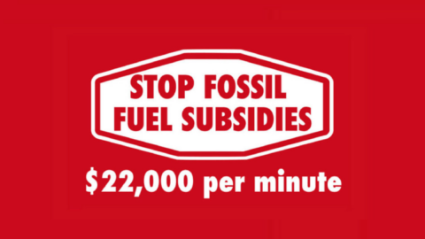 Stop fossil fuel subsidies