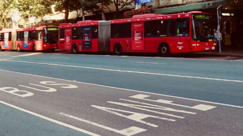 Bus lane