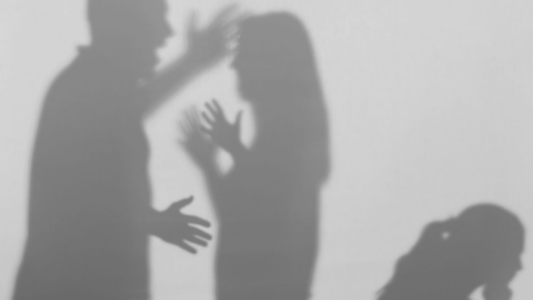 Domestic Violence shadows