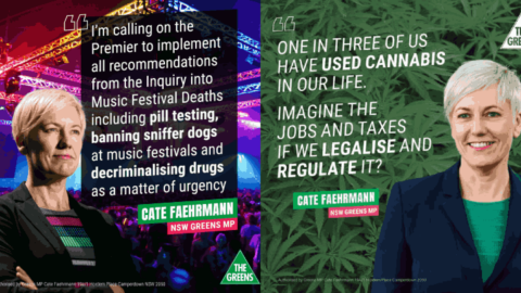 NSW Greens MLC Cate Faehrmann