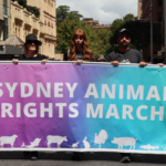 Sydney Animal Liberationists Call on Government to End Lawful Systemic Abuses