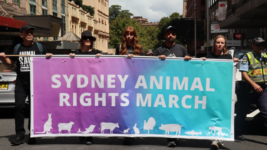 Sydney Liberationists Call on Government to End Lawful Systemic Abuse of Animals