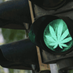 Victorian Medical Cannabis Driving Reform Likely: Interview With Legalise Cannabis MLC David Ettershank