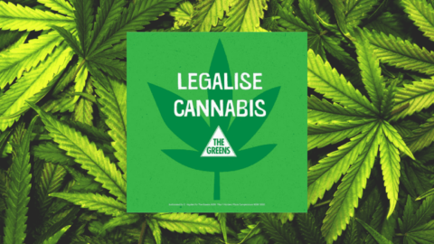 NSW Greens Cannabis