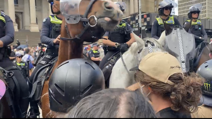 Victorian mounted police use horses to hold back pro-trans rights activists. Photo credit: MALS