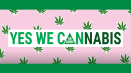 Yes we can cannabis