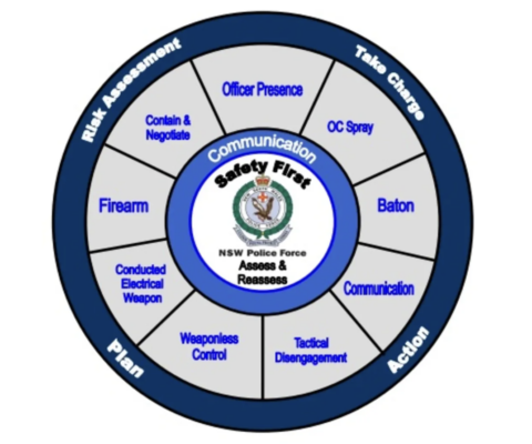 Tactical Options Model