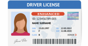 Drivers licence