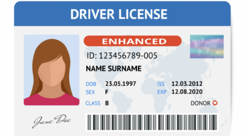 Drivers licence