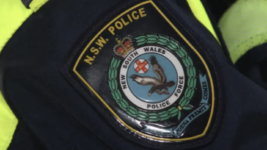 NSW Police arm